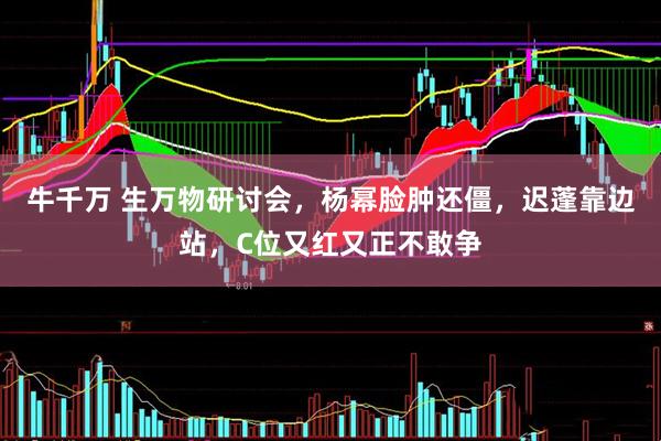 牛千万 生万物研讨会，杨幂脸肿还僵，迟蓬靠边站，C位又红又正不敢争