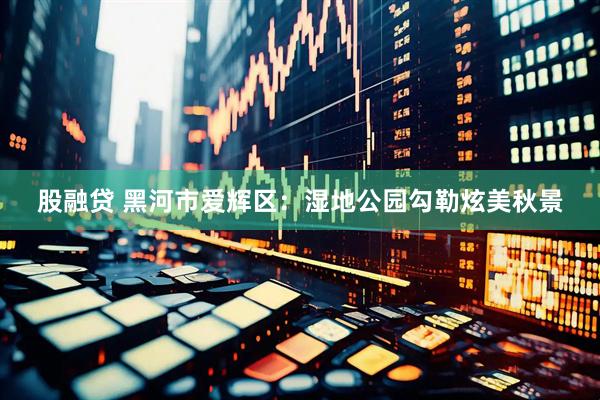 股融贷 黑河市爱辉区：湿地公园勾勒炫美秋景