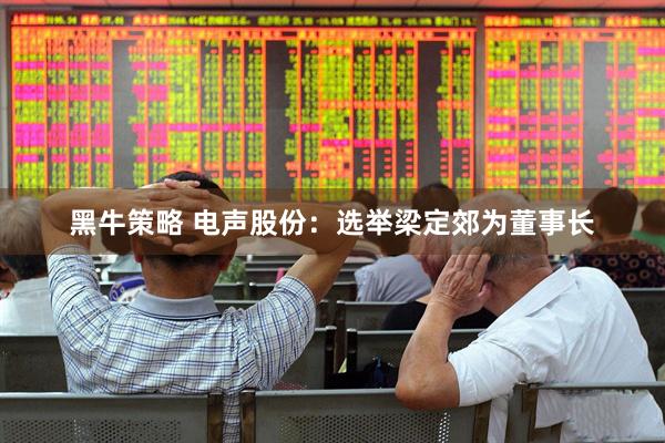 黑牛策略 电声股份：选举梁定郊为董事长