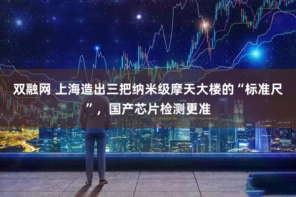 双融网 上海造出三把纳米级摩天大楼的“标准尺”，国产芯片检测更准