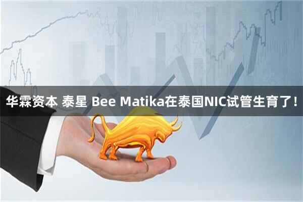 华霖资本 泰星 Bee Matika在泰国NIC试管生育了！
