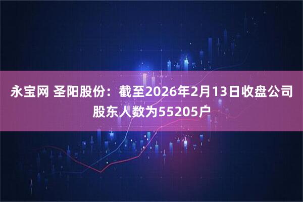 永宝网 圣阳股份：截至2026年2月13日收盘公司股东人数为55205户